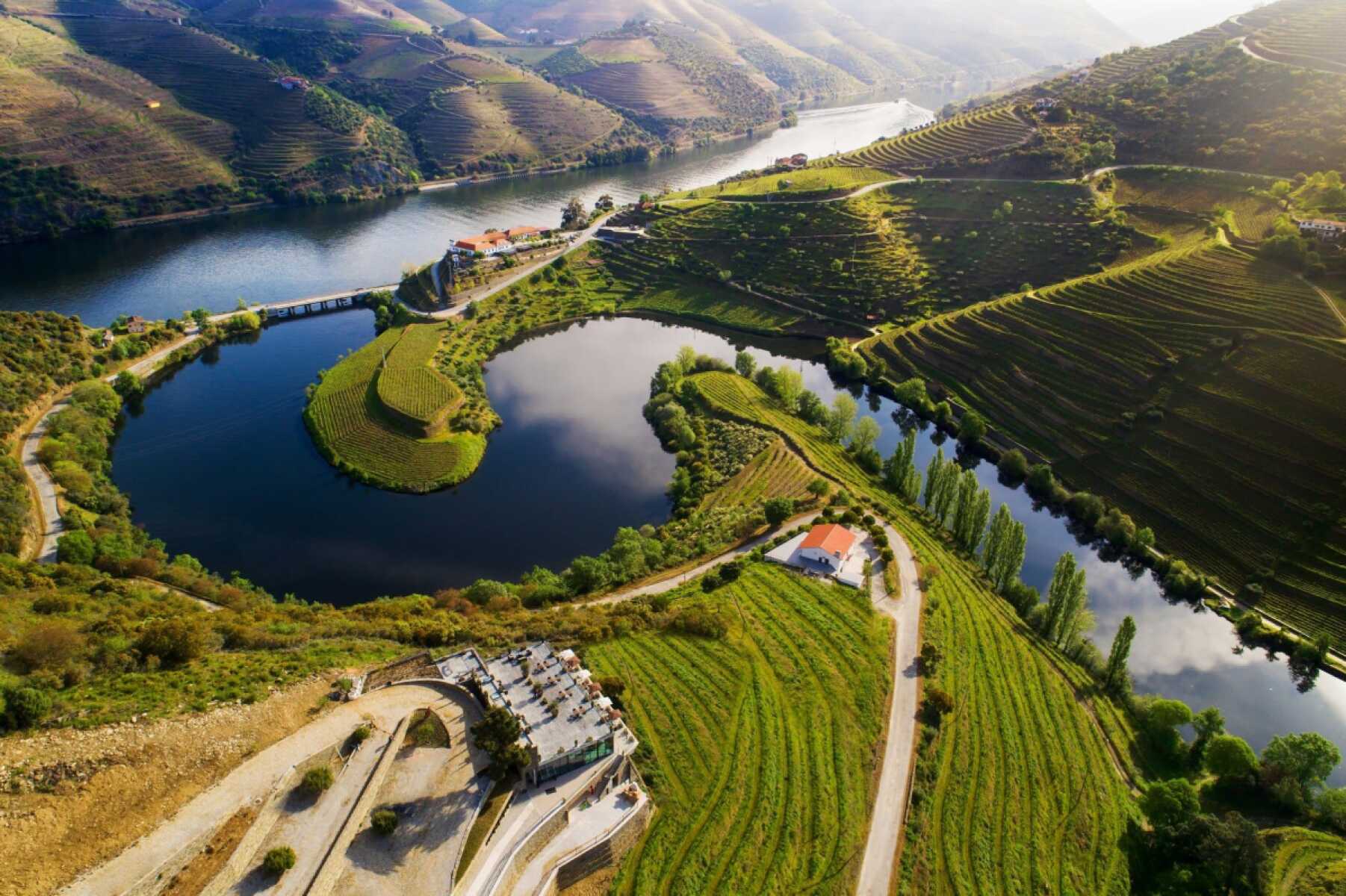 Οι μοναδικής ομορφιάς (και προστατευμένοι από την Unesco) αμπελώνες στην κοιλάδα του ποταμού Douro, Πορτογαλία.